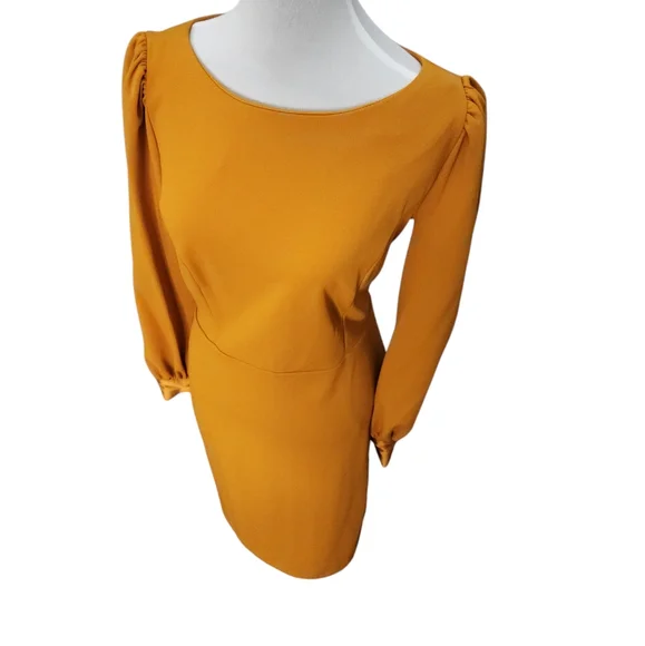 NWT Calvin Klein Amber Long Sleeve Retro 1970s Style Size 10 - Picture 2 of 9